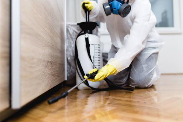 Best Mosquito Control Services  in Phillipsburg, KS