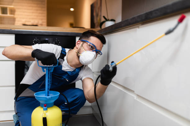 Reliable Phillipsburg, KS Pest Control Solutions
