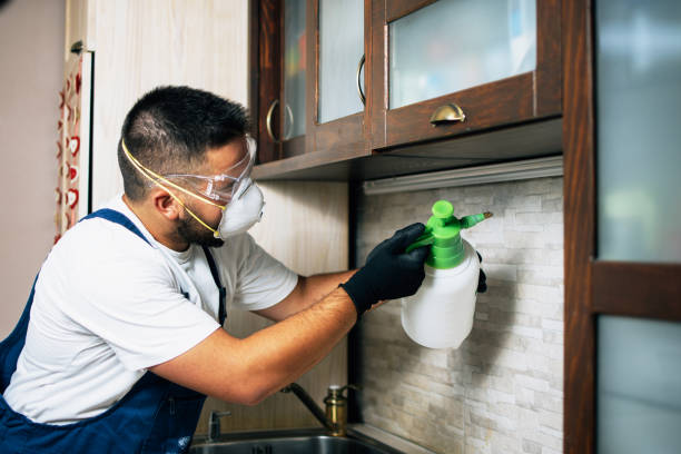 Best Best Pest Control Companies  in Phillipsburg, KS