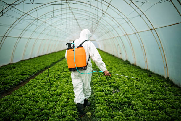 Best Pest Inspection Near Me  in Phillipsburg, KS
