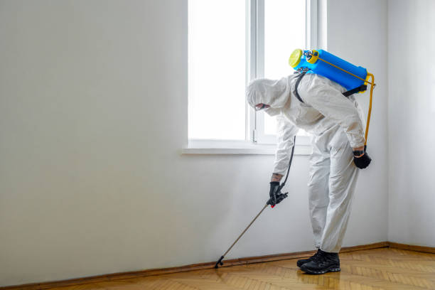 Best Pest Control Near Me in Phillipsburg, KS