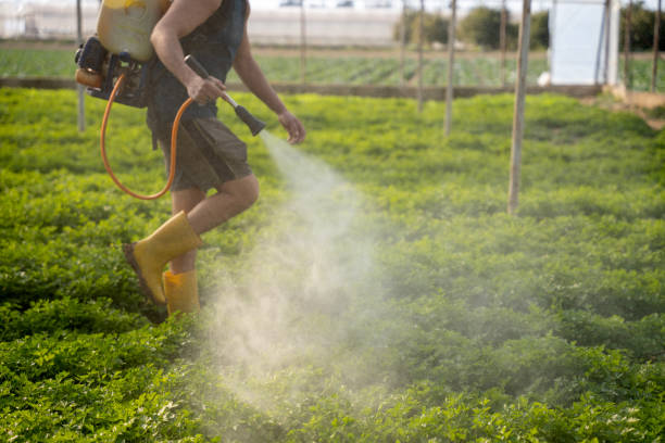 Best Affordable Pest Control Services  in Phillipsburg, KS