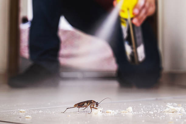 Best Pest Control for Restaurants  in Phillipsburg, KS