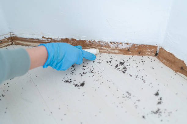 Best Affordable Pest Control Services  in Phillipsburg, KS