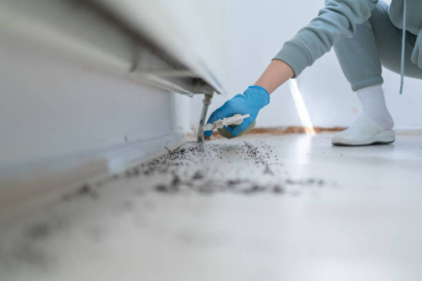 Best Mosquito Control Services  in Phillipsburg, KS